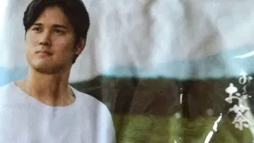 오타니 쇼헤이 로스앤젤레스 다저스 클리어 파일
