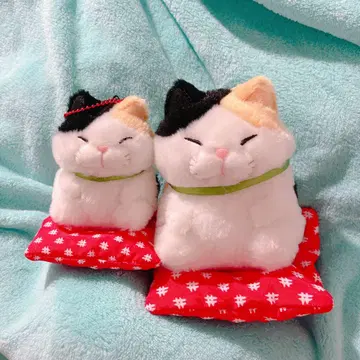 히게만쥬 정좌 봉제 인형 마스코트 미사마 삼색 고양이