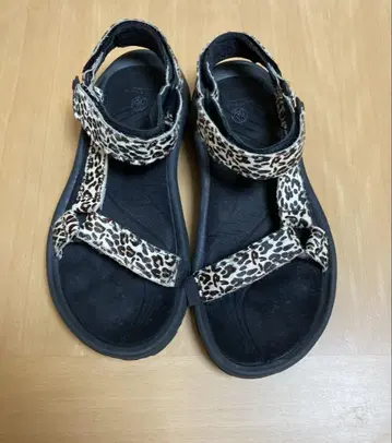TEVA HURRICANE 샌들 BEAUTY&YOUTH 별주