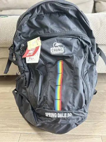 CHUMS Spring Dale 30 블랙 백팩