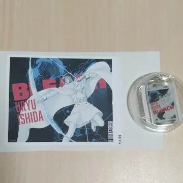 BLEACH 산토리 키링