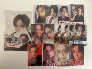 세븐틴 준 트레카