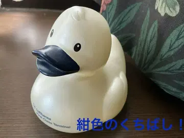 루프트한자 퍼스트 클래스 터미널 덕 네이비색 부리