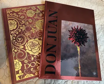 #후지가야 타이스케 DON JUAN 팜플렛 2권 세트