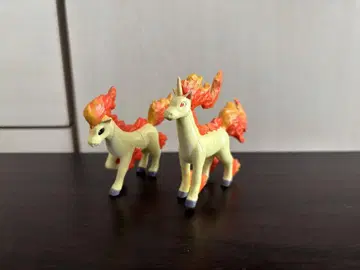 몬코레 초기 포니타 갤럽 레어 단종