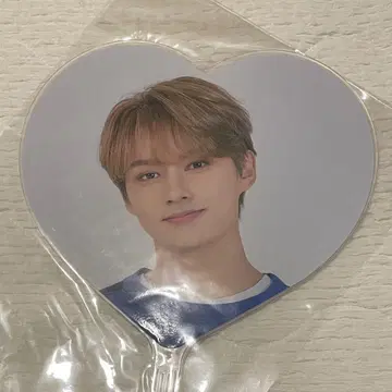 SEVENTEEN 세부치 팬미팅 caratland 2020 준 부채
