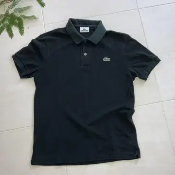 LACOSTE 블랙 피케 셔츠 사이즈 3