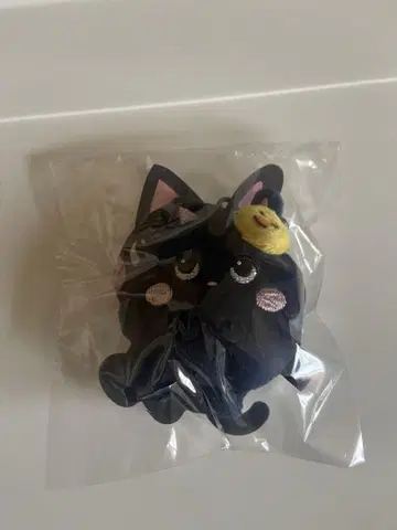 RIIZE 원빈 토냥이 봉제 인형 미니 인형 키링