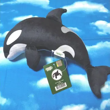 콜렉타 봉제 인형 샤치