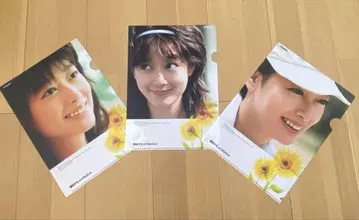 나츠메 마사코 클리어 파일 3장 세트 노무라 자산 관리