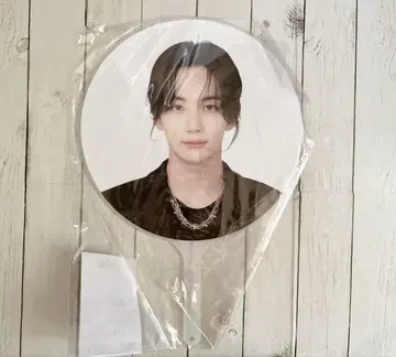 SEVENTEEN Follow to japan 정한 부채 피켓