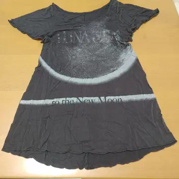 LUNA SEA 티셔츠 2매 부채