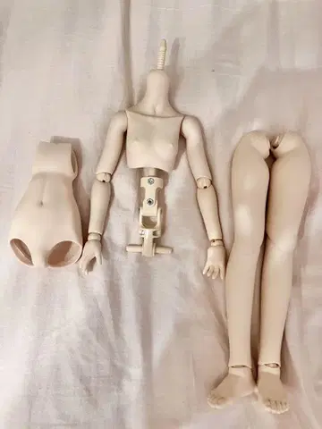 MDD 프레쉬 바디