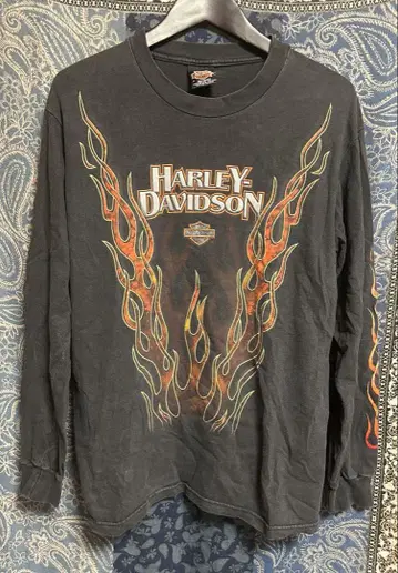 VINTAGE HARLEY DAVIDSON 파이어 프레임 롱T m