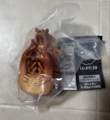 생물대도감 사슴벌레10 왕사슴벌레 번데기 가챠