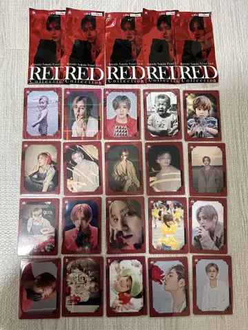 야마다 료스케 RED 비주얼 카드 컴플리트 세트 20매