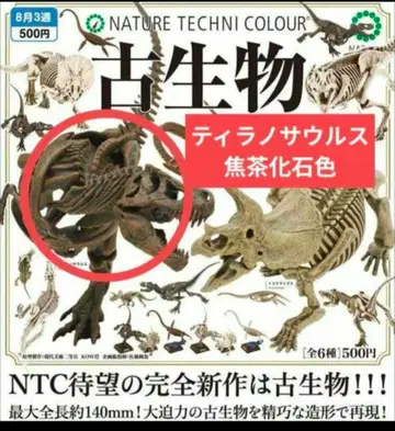 네이처 테크니컬러 고생물 티라노사우루스 짙은 갈색 화석색 수정 정품