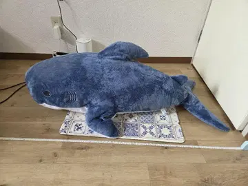 상어 BIG 봉제인형