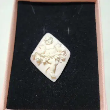 콩크 조개 카메오 루스