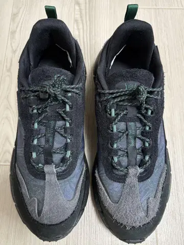 SOUTH2WEST8 Reebok ZIG KINETICA 2.5 edge