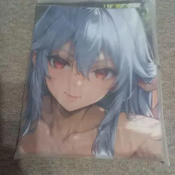 무장학원H x H 치도리가후치 아이네 주사위 비치볼 60cm 공기 비닐