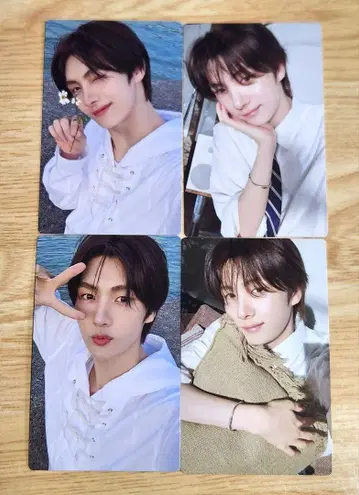 TWS 영재 트레카세트