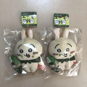 2점 지역 한정 치이카와 마스코트 말차 소프트 교토 봉제인형 토끼
