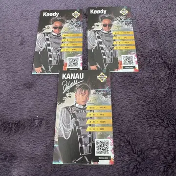 SEGA SAMMY LUX 명함 카드 KANAU Koody