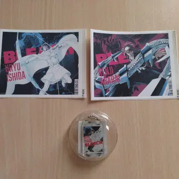 BLEACH 산토리 키링