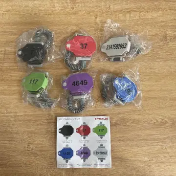 온천 워치2 풀컴프 품