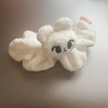 도영 haddo 비둘기 스크런치