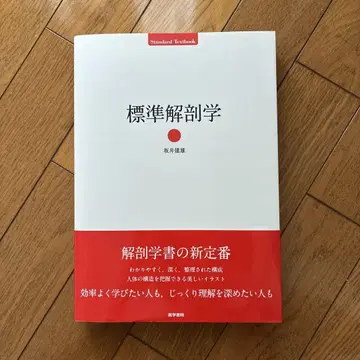 표준 해부학