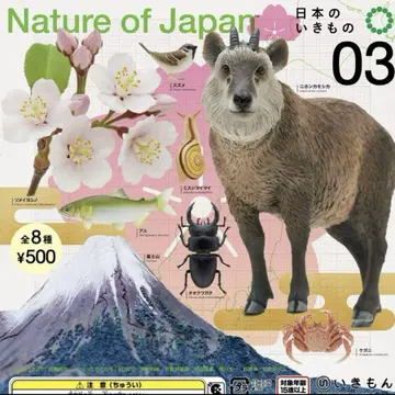 Nature of Japan 일본의 생물 전체 8종 컴플리트