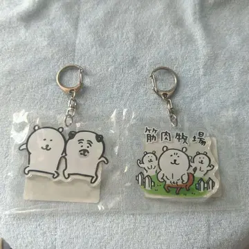 농담곰 카페 체육 스크럼 짤까요 근육 목장