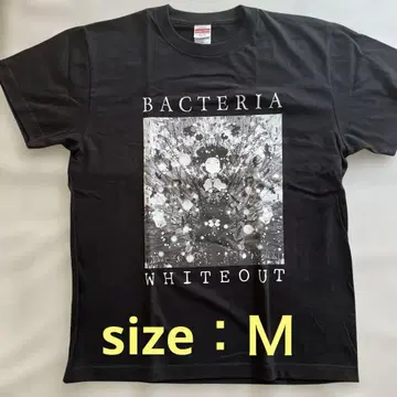 [정품] BACTERIA (박테리아) 티셔츠 사이즈 M