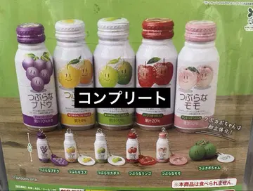 가챠  총 6종