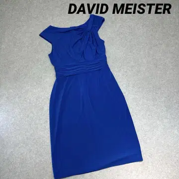 DAVID MEISTER 데이비드 마이스터 파티 드레스 블루 사이즈 8