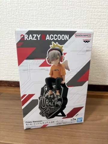 Crazy Raccon 달마이즈고도