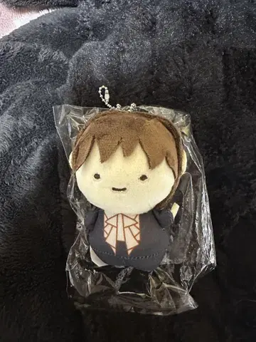 초특급 하루 봉제 인형 MEMORIA루