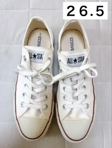올스타 컨버스 화이트