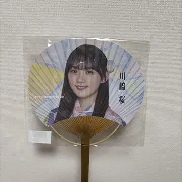 가와사키 벚꽃 부채