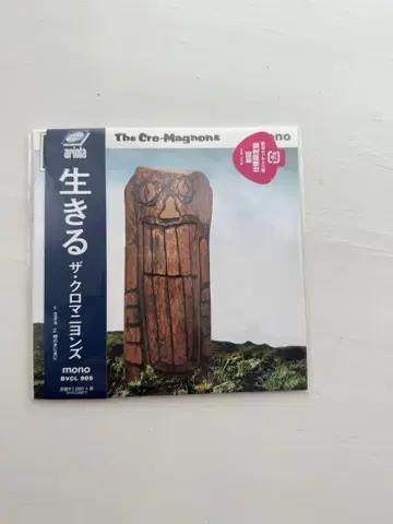 더 크로마니온즈 살다 CD