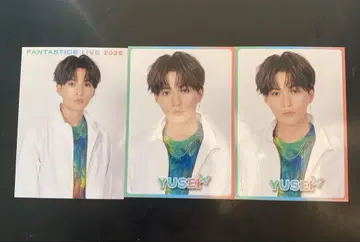 야기 유세이