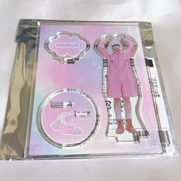 &TEAM 엔티엠 카페 아크릴 스탠드 하루아 HARUA