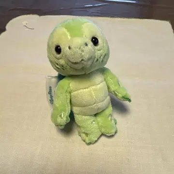 거북이 봉제 인형 그린 컬러 소형
