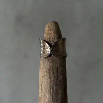 디자인된 반지