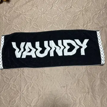 VAUNDY 타월