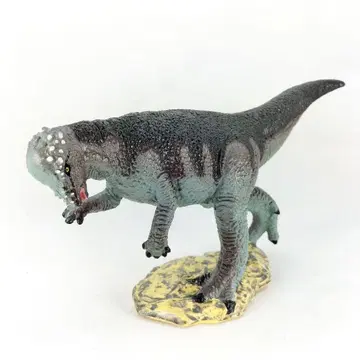 당시의 물건 카네기 박물관 컬렉션 파키케파로사우루스 피규어 공룡