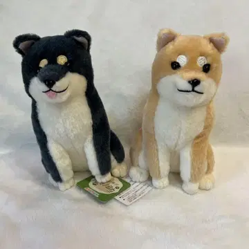 포근한 시바견 브라운 노스케 강아지 봉제 인형