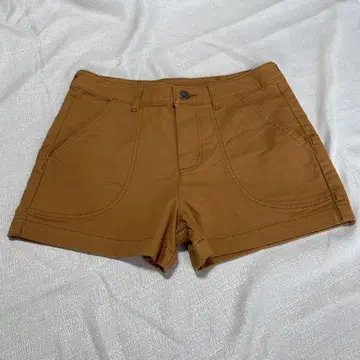 파타고니아 숏 팬츠 브라운 2